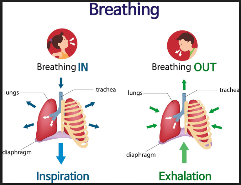 Screenshot 2018-12-01 at 12.22.36 PM