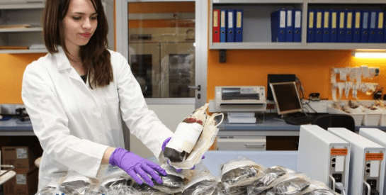 Screenshot 2019-12-17 at 2.45.43 PM